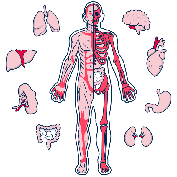 Noes Ultrascan 360